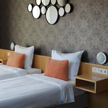 Hotel Aalsmeer ホテル